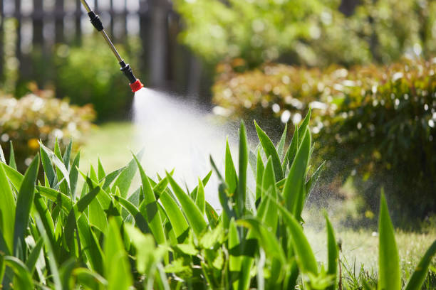 24/7 Emergency Mosquito Control experts in Endwell, NY