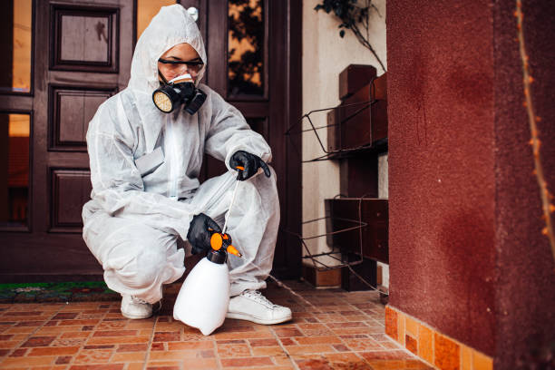Reliable Mosquito Control contractor in Endwell, NY by Show Me Pest Control