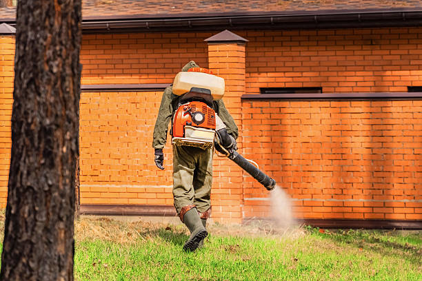 Top rated local Mosquito Control specialists in Endwell, NY
